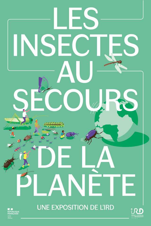 Les Insectes au secours de la planète