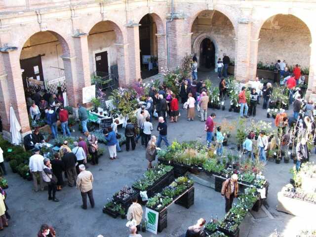 32ème édition Varietas Florum, vente de plantes