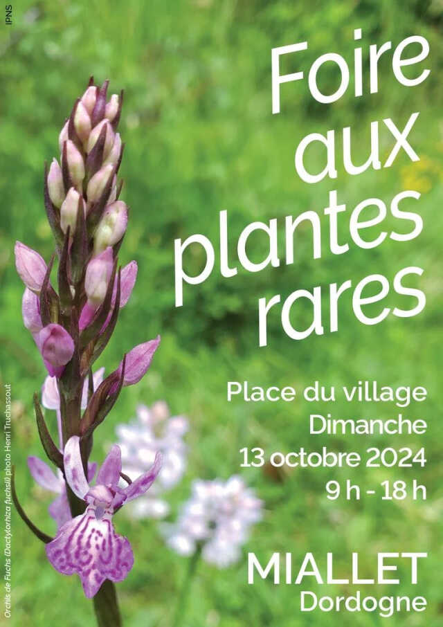 Foire aux plantes rares