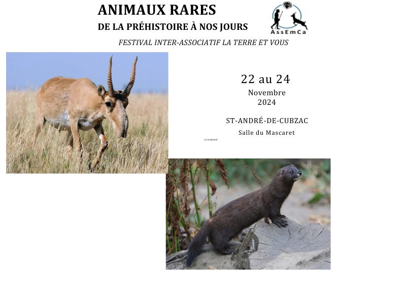 Animaux rares de la préhistoire à nos jours - Festival inter-associatif La Terre et Vous