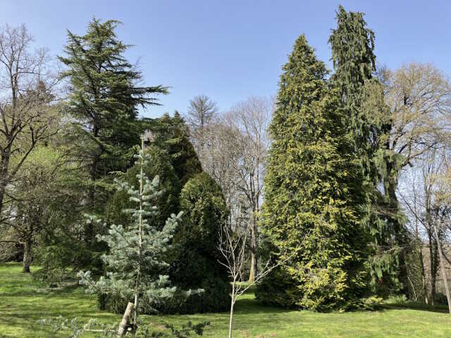 Découverte de l'arboretum du Château de Montautre