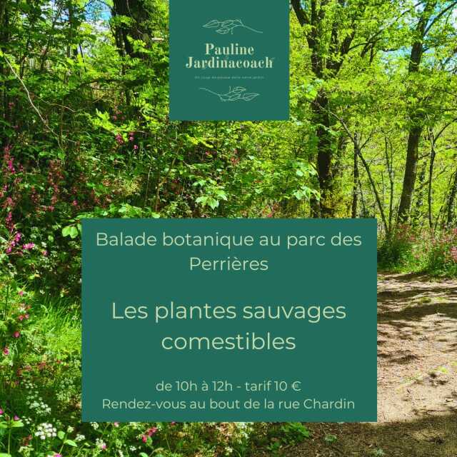 Balade botanique au parc des perrières