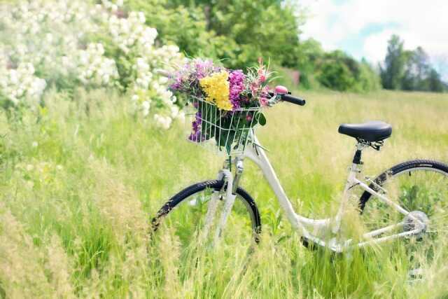 Voyage en vélo dans les paysages d'eaux de l'estuaire de la Gironde - Sur inscription