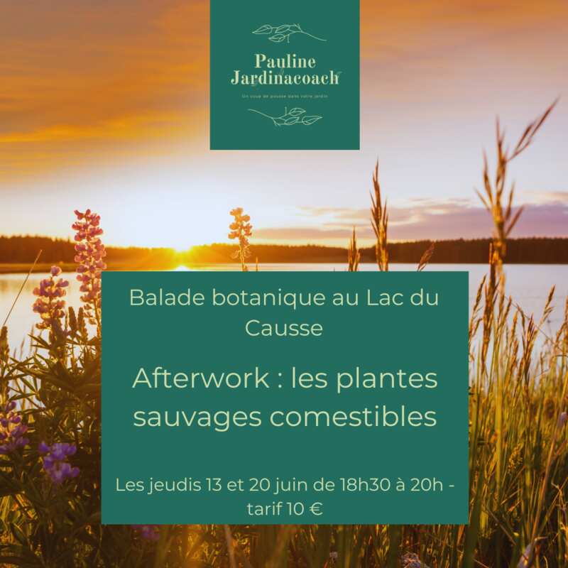 afterwork botanique au Lac du Causse