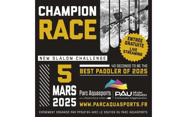 Champion race - New slalom challenge