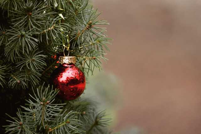 Marché de Noël - Bonnac-la-Côte