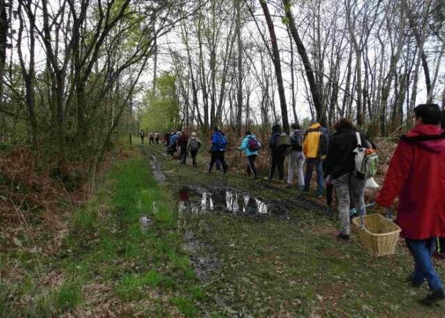 Nature et culture en Pays d'Orthe