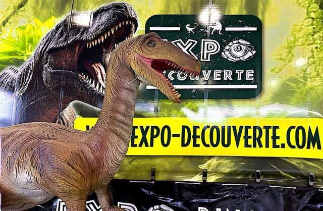 Expo découverte Dinosaures