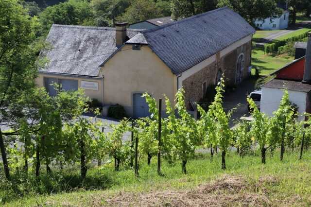 Portes ouvertes en Jurançon : Domaine Bellegarde