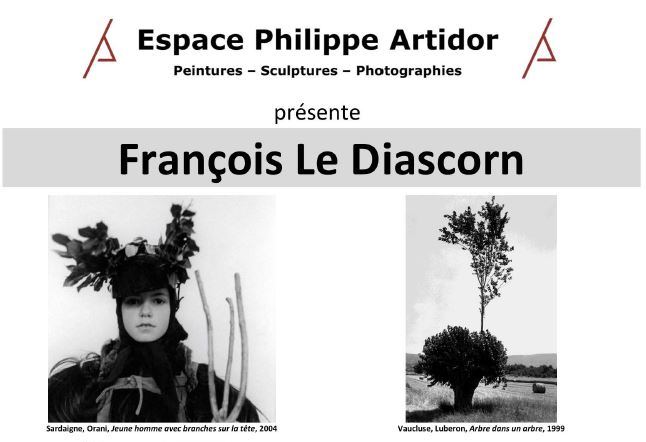 Exposition photographique de François Le Diascorn - Les Arbres Improbables