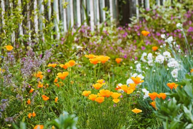 Rencontres de la biodiversité, jardins et croix de St Jean