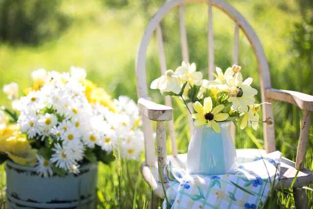 Fête de printemps de la grainothèque