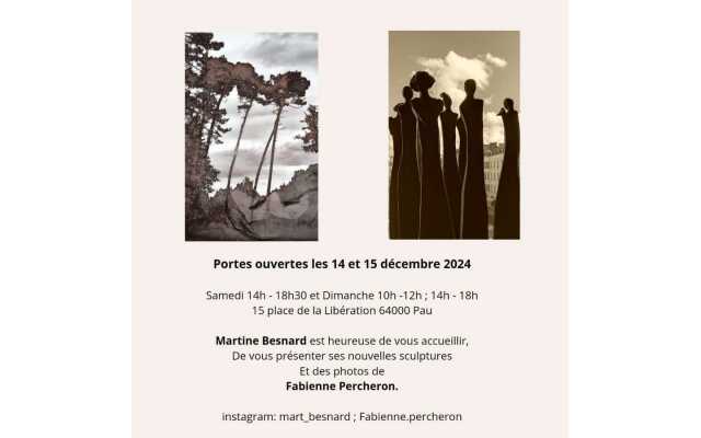 Portes ouvertes: Sculptures Martine Besnard