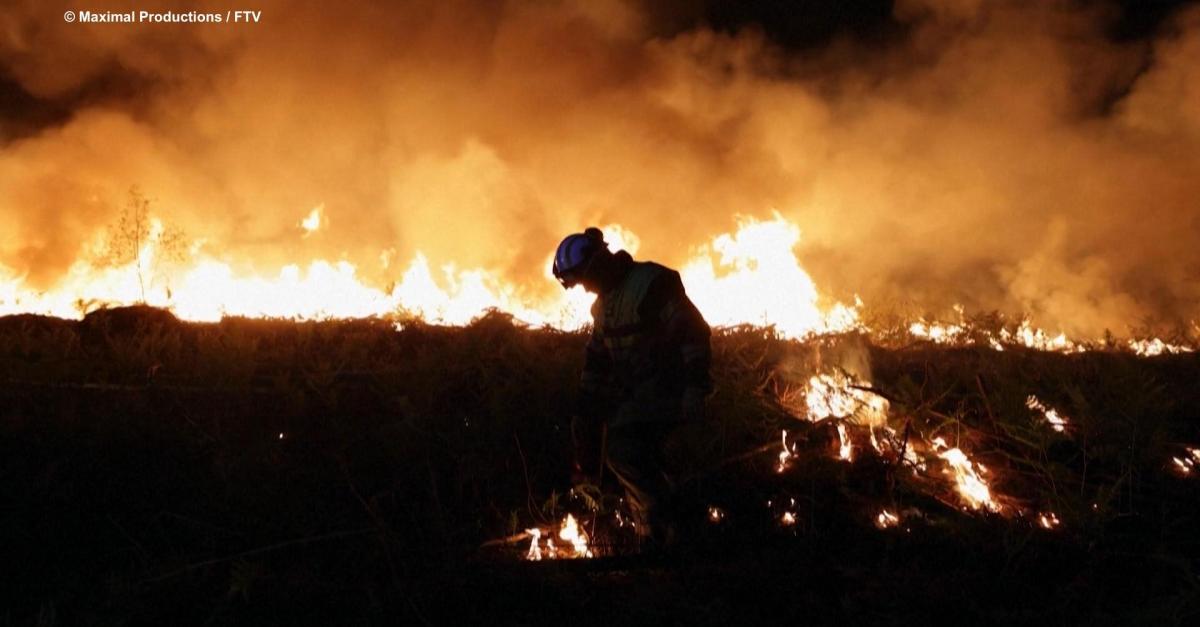 Mois du doc : Les Gardiens de la forêt des Landes