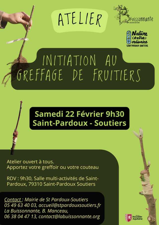 Initiation au greffage de fruitiers