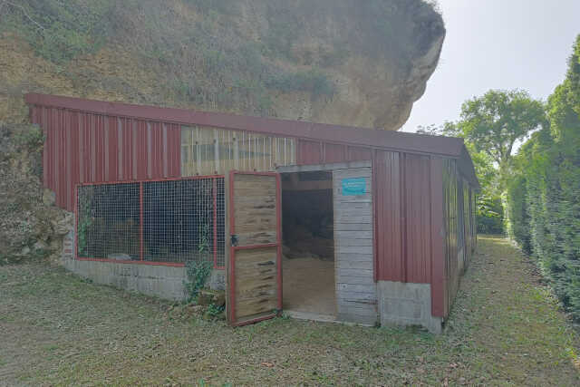 Visite guidée du site préhistorique de Montmorillon
