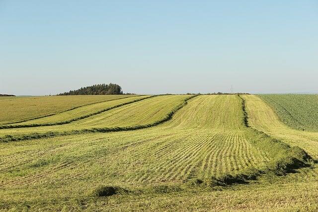 À la découverte de la prairie gagnante du 