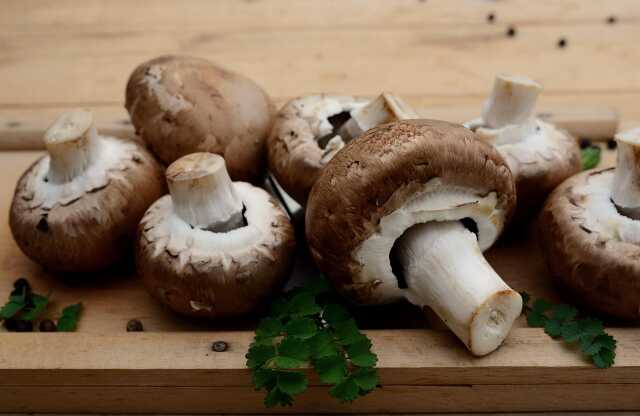 A la recherche des champignons