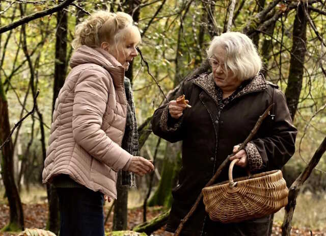 Cinéma - Quand vient l’automne