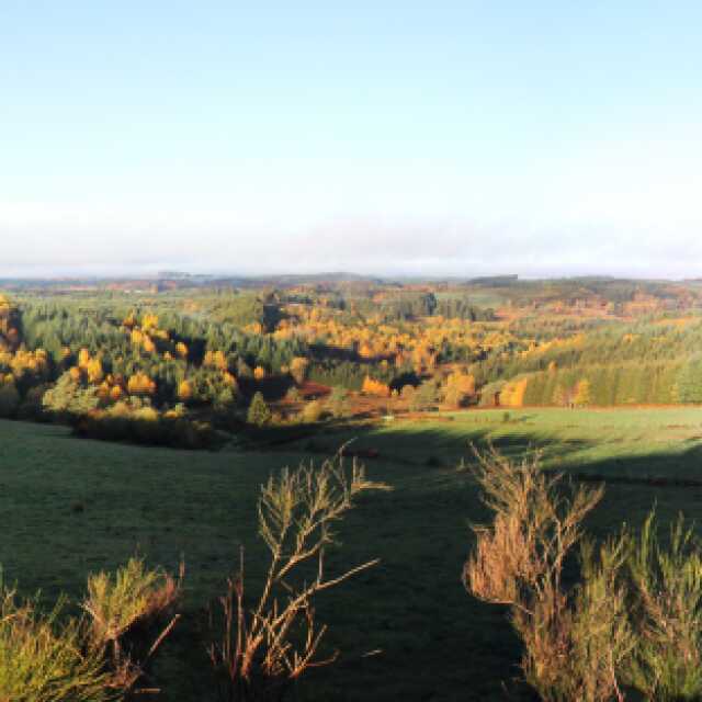 Cycles de conférences du Parc | Paysage par Alain Freytet