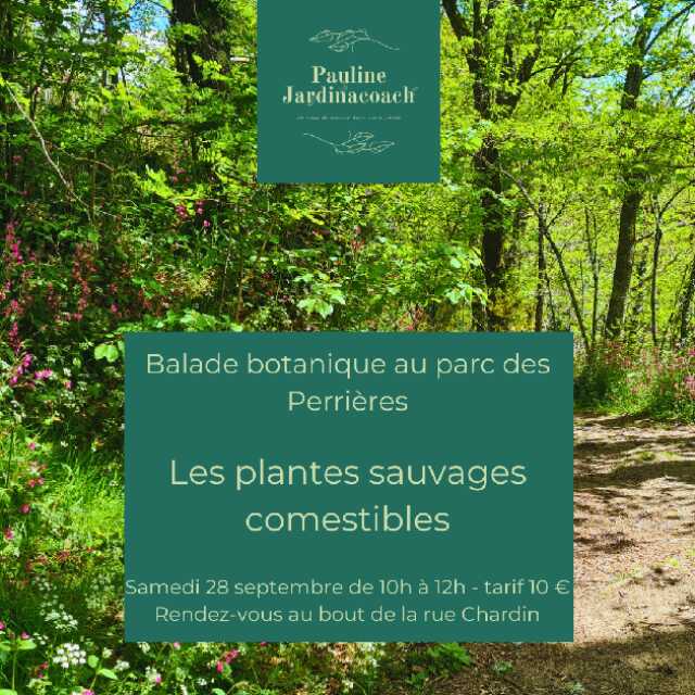 Balade botanique: Les plantes sauvages comestibles du Printemps (Parc des Perrières)