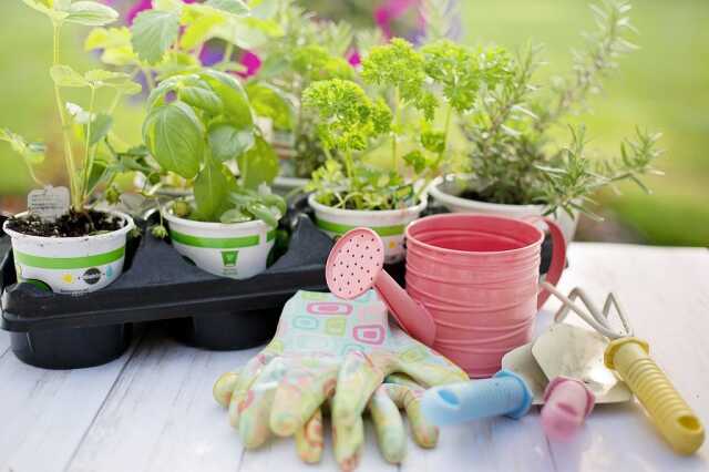 Foire aux plants & art du jardin