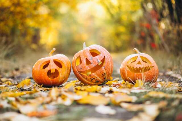 Halloween à l'Etang des Landes