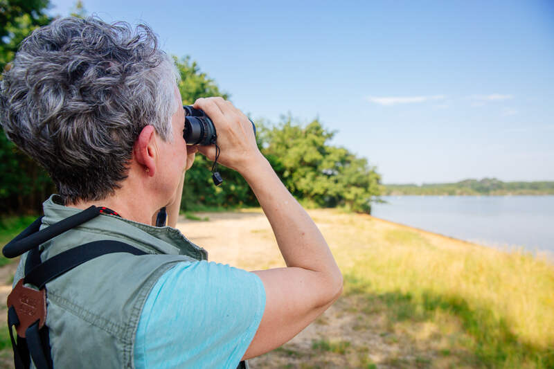 Balade nature, les oiseaux de septembre