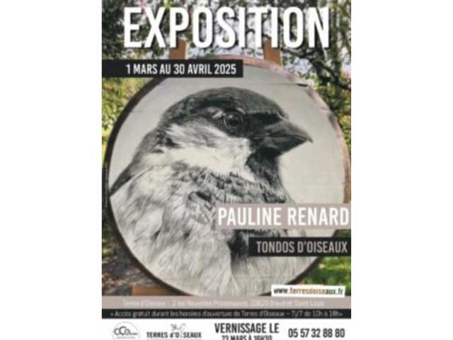 Exposition « Tondos d’oiseaux » par Pauline RENARD à Terres d’oiseaux