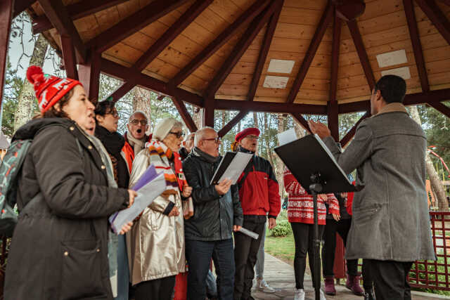 Animation musicale ● Noël 2025