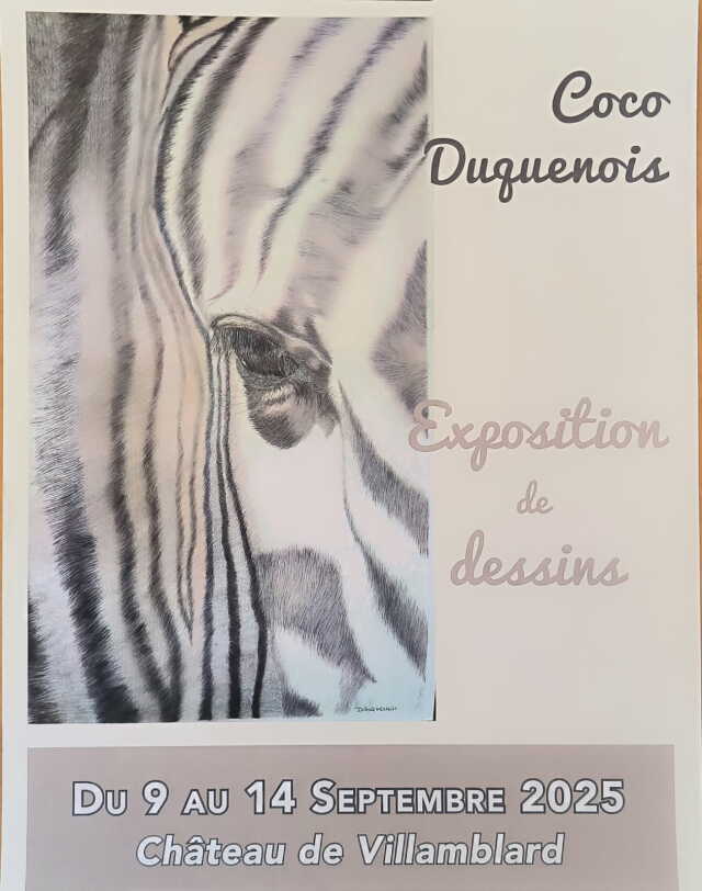 Exposition de dessins