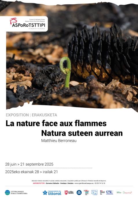 Exposition - La nature face aux flammes