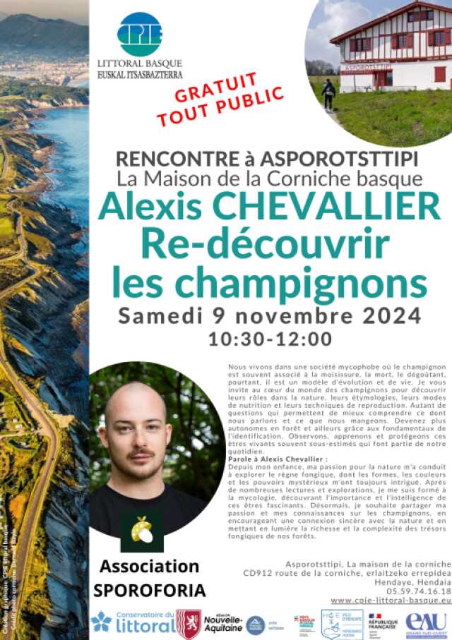 Rencontre avec Alexis Chevallier : re-découvrir les champignons