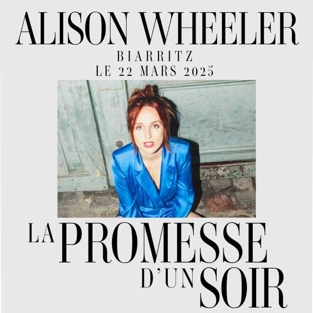 Alison Wheeler - La promesse d'un soir