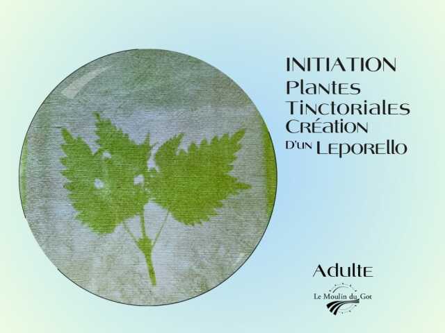 Atelier d’initiation aux plantes tinctoriales et à la création d'un livre leporello ou 