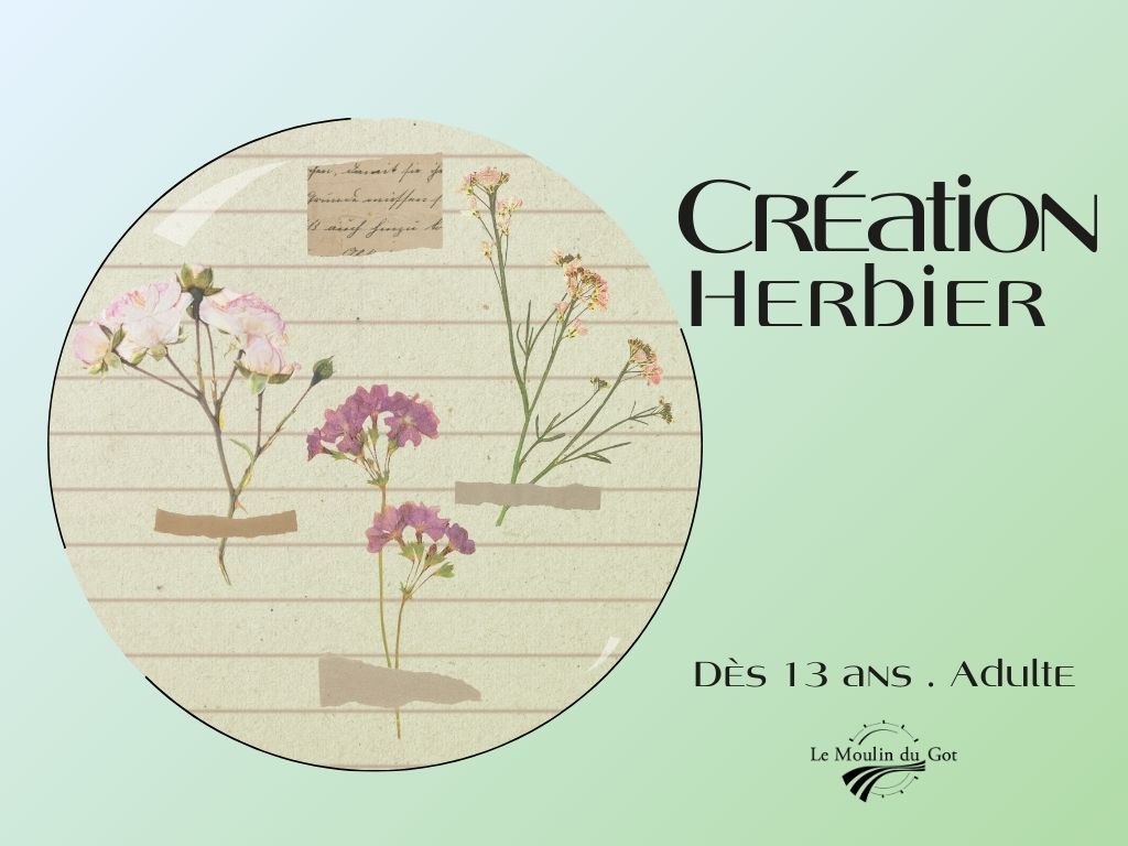Création d’un herbier au Moulin du Got
