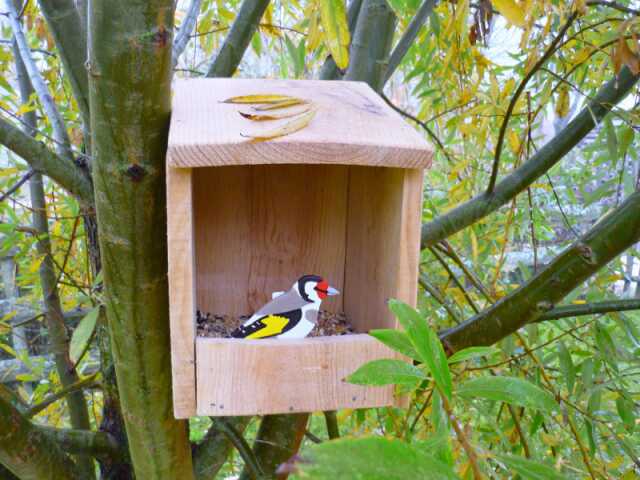 Construction d'une mangeoire à oiseaux  à Terres d'oiseaux