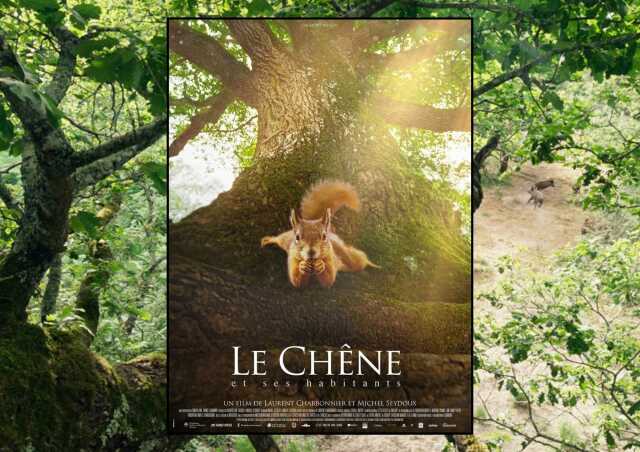 Ciné Lous Drolles -  Petite planète, mois du film documentaire