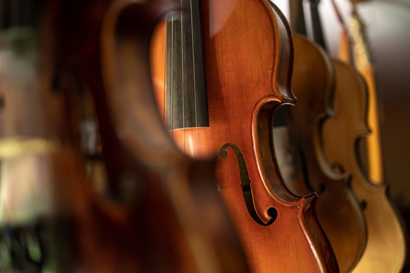 Concert Bach Connie Pharoah alto (viola)
