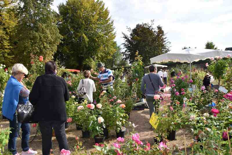 Fête des plantes à Pompadour