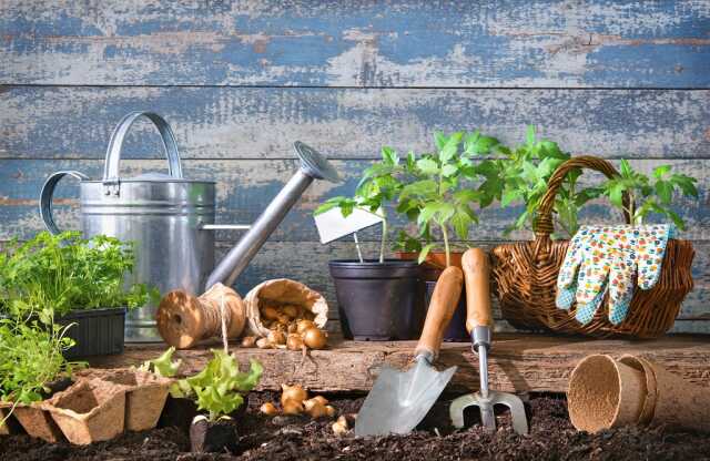 Atelier Jardin Partagé des 4 Saisons