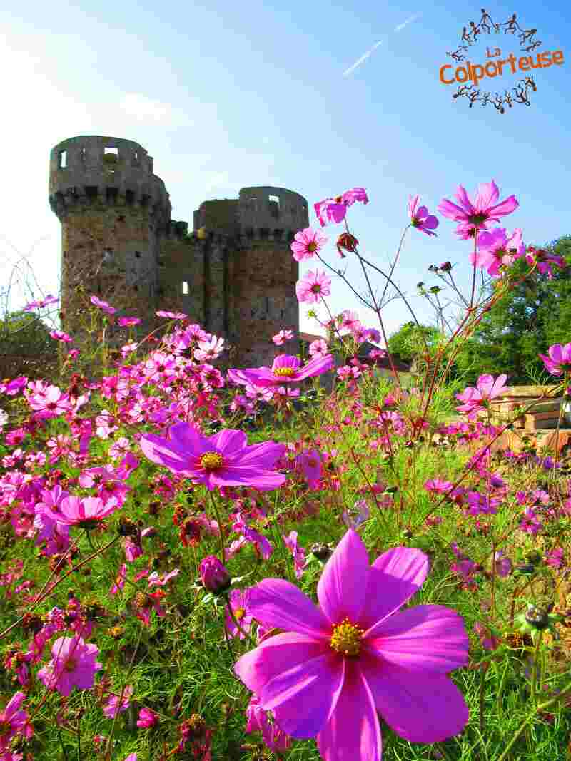 Journées du Patrimoine - Château de Sanzay