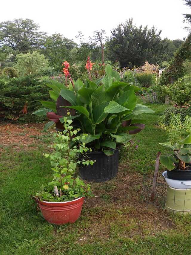 Jardin ouvert