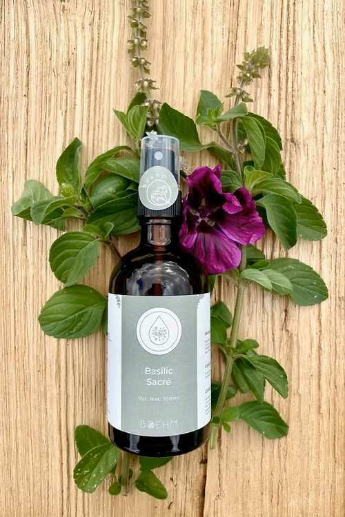Plantes & Parfums : les secrets de la distillation