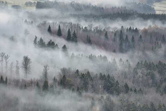 Atelier Art et Nature Hiver