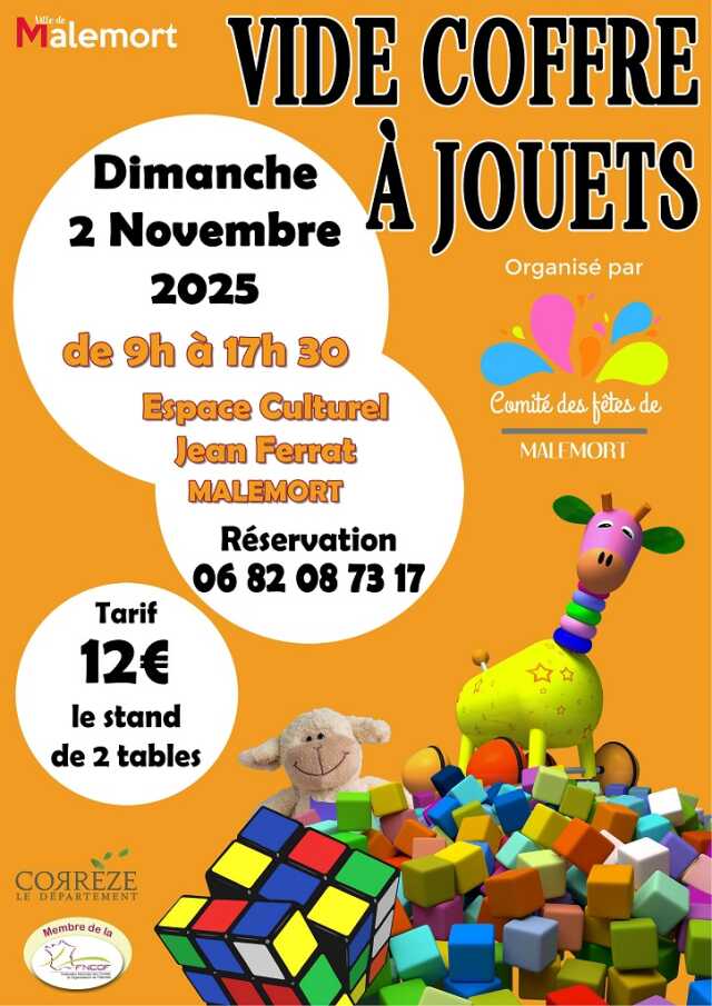 Vide coffre à jouets