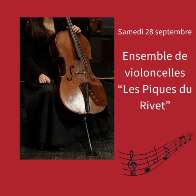 Concert : ensemble de violoncelles 