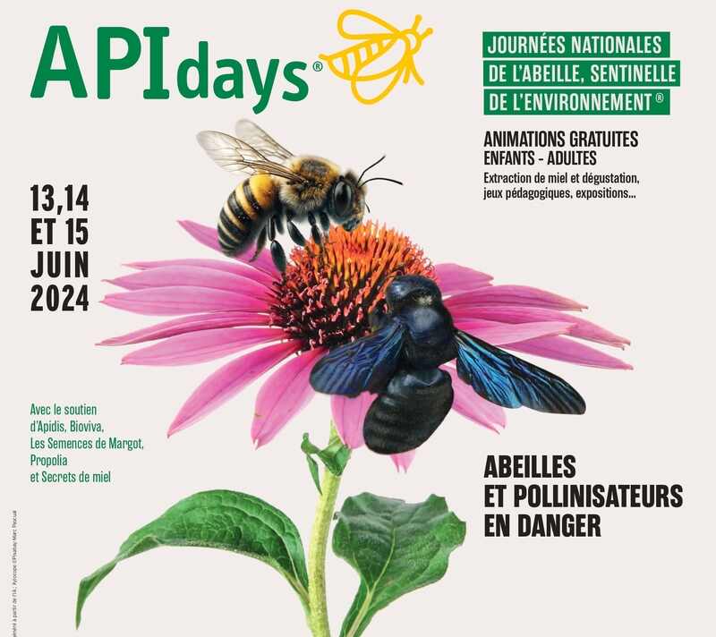 APIdays - Journées nationales de l’abeille