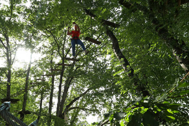 Eté actif 2025 : Grimpe d'arbre