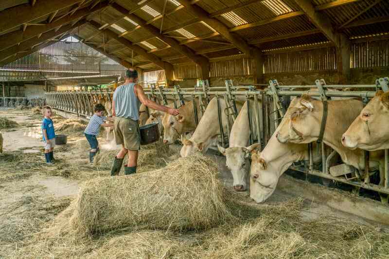 Apprenti Eleveur : moments magiques à la ferme